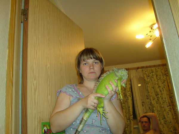 Света Комбарова