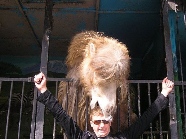 Станислав Гришко