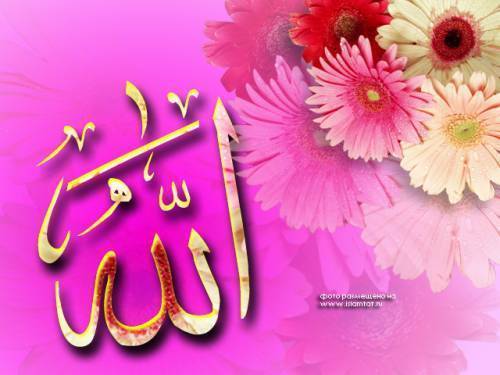 *~*б@лхия*~* Исмаилова