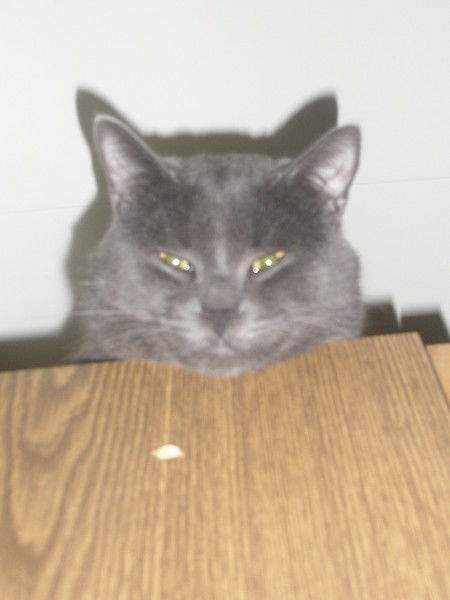 Лотухов Сергей