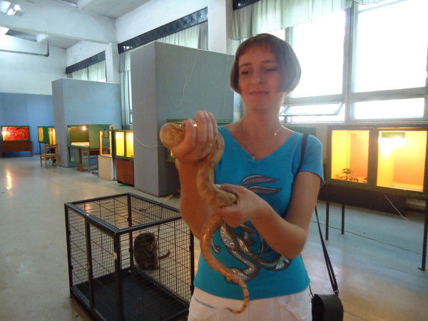 Елена Николаева