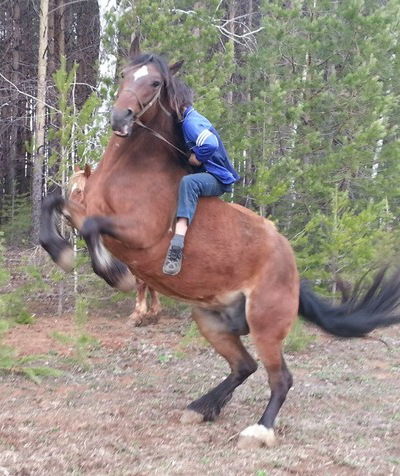 Ростислав Зиппа