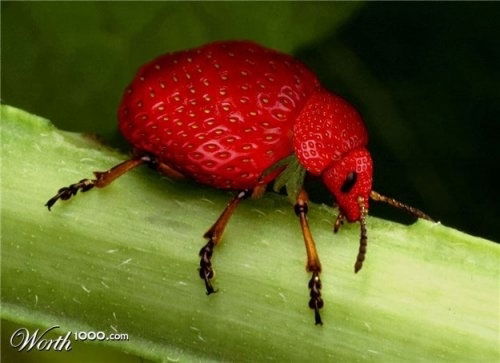 С Уважением, Касаткина Л.а.