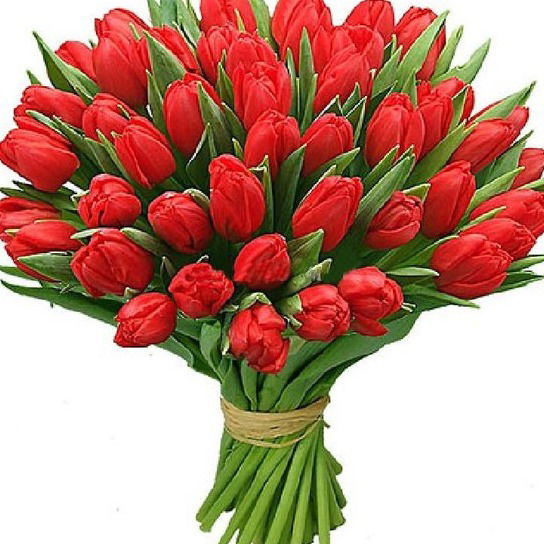 Салон Цветов Фан-Фан Тюльпан