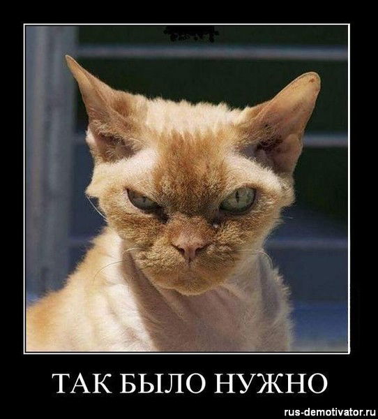 Аркаша Аркаша