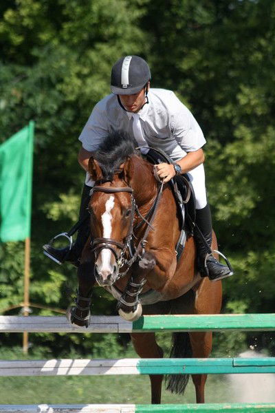 Александр Зиборов