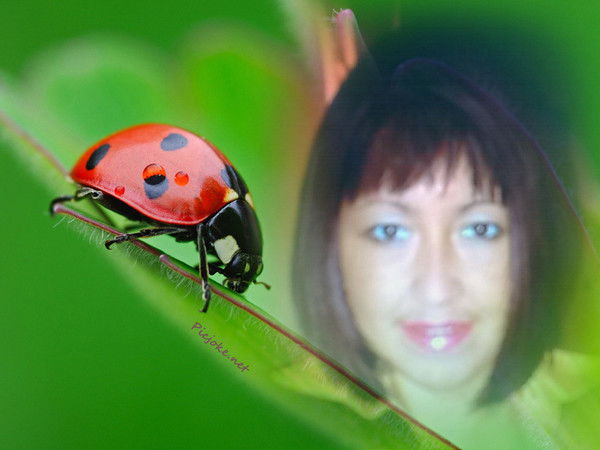 Дамиля Абдрахманова