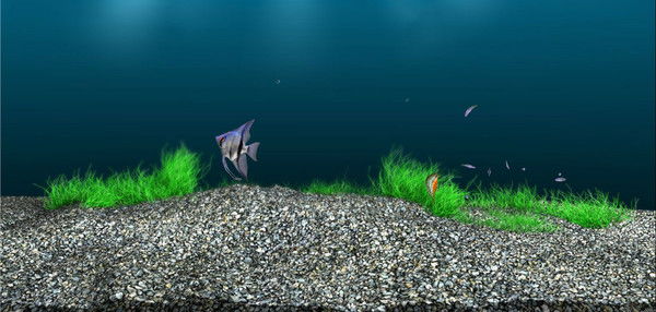 Владислав Сорокин