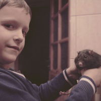 Тімурчик Красноступ