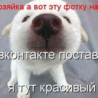 Валерия Максимова