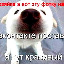 Валерия Максимова