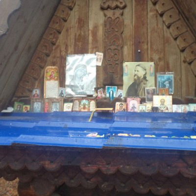 Елена Дороховамархотенко