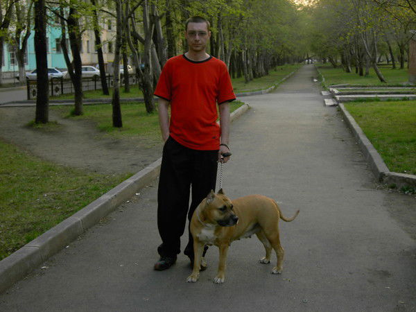 Владимир Шахалевич