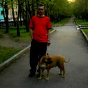 Владимир Шахалевич