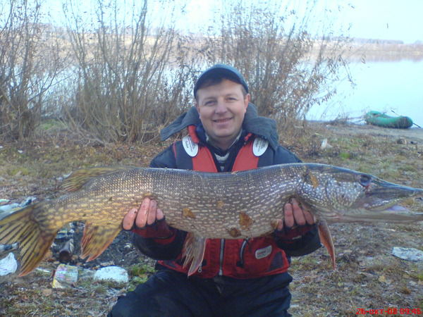 Александр Бусс