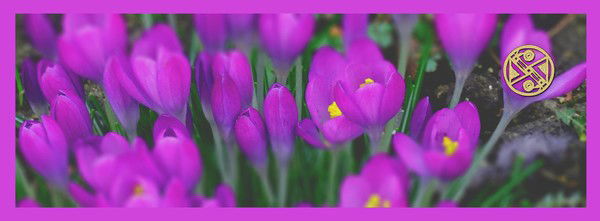 Наталья Соснова