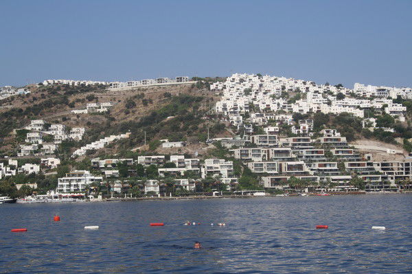 Наталья Назаренко