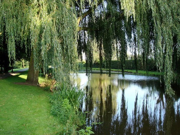 Светлана Терновых