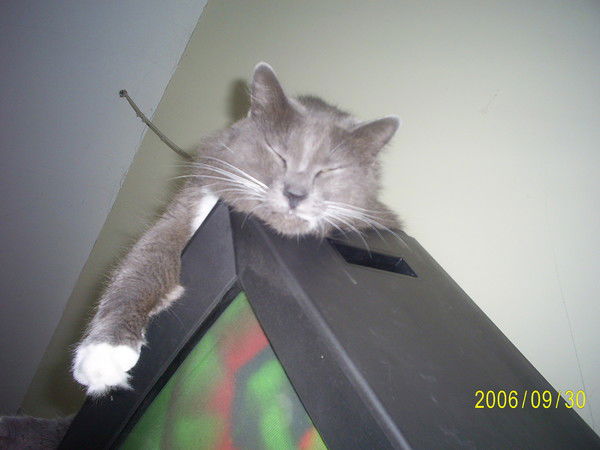 Наталья Рогова