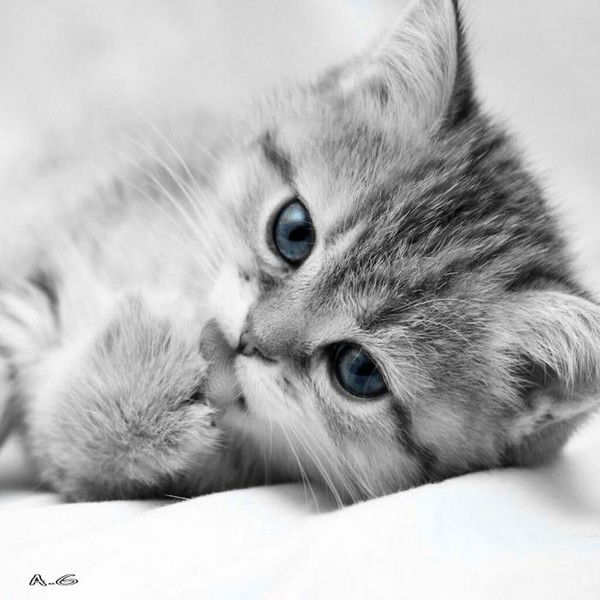 Татьяна Мунько