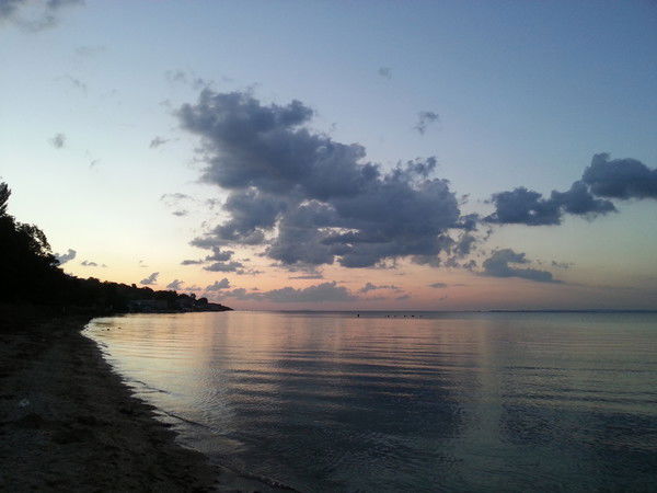 Александр Кушко