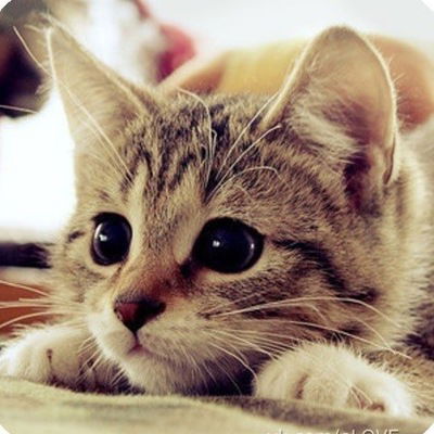 Анастасия Андреевна