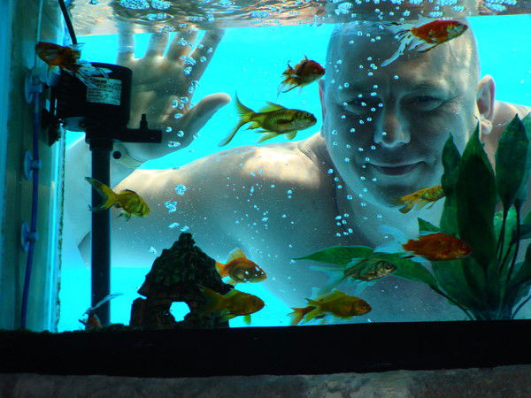 Сергей Коволенко