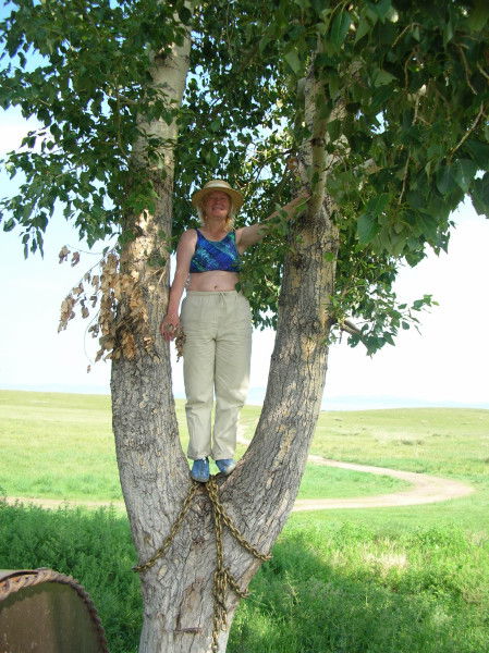 Светлана Помыткина