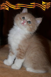 Светлана Кудинова