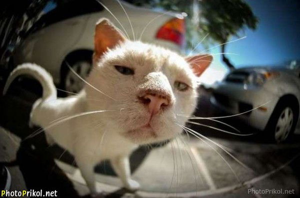 Игорь Каргин