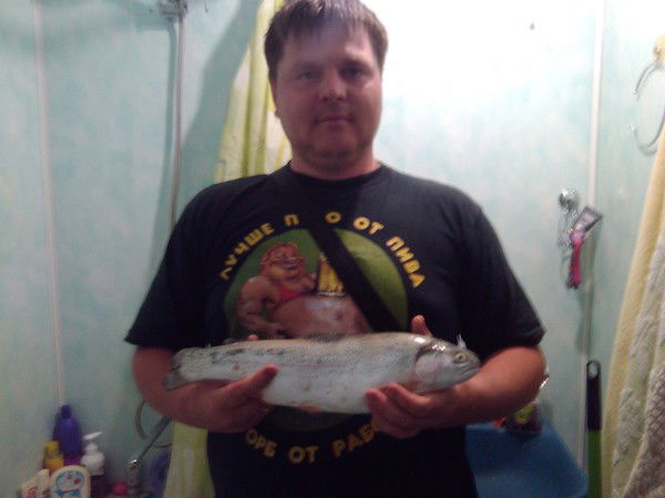 Александр Королёв