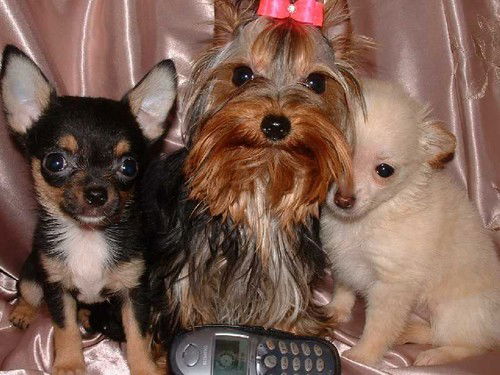 Оксана Чурилова