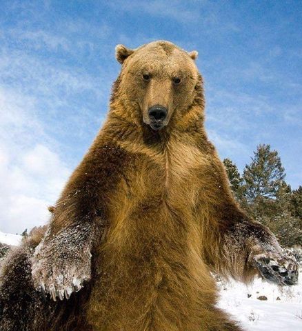 Артур Махамов