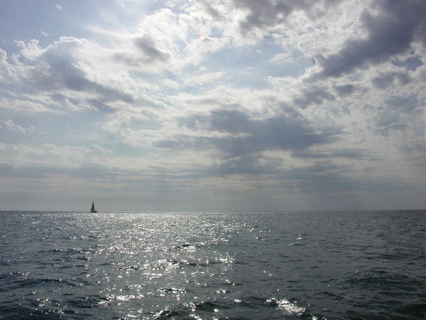 Александр Полянский