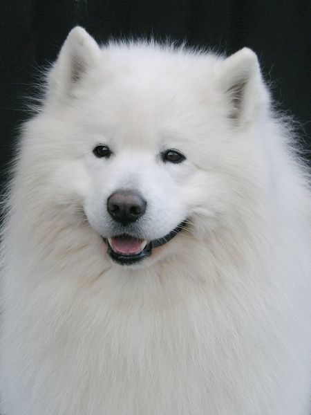 Антон Трушников