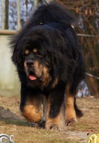 Катя Паршина