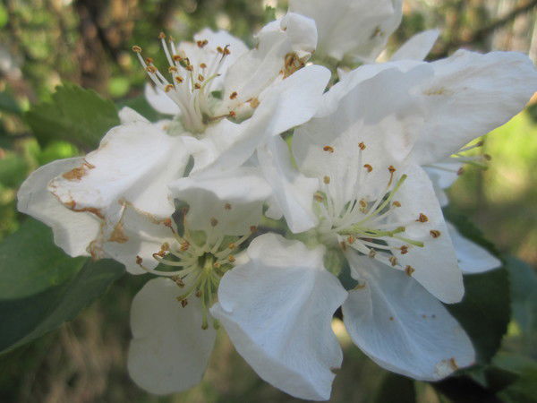 Галина Кузьмина