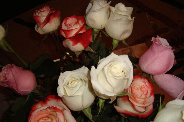 Динара Байзакова