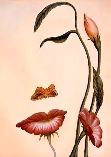 Айжан Алибаева