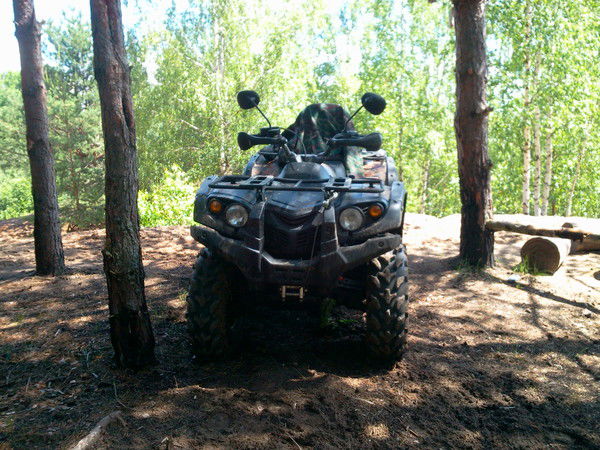 Михаил Баскин