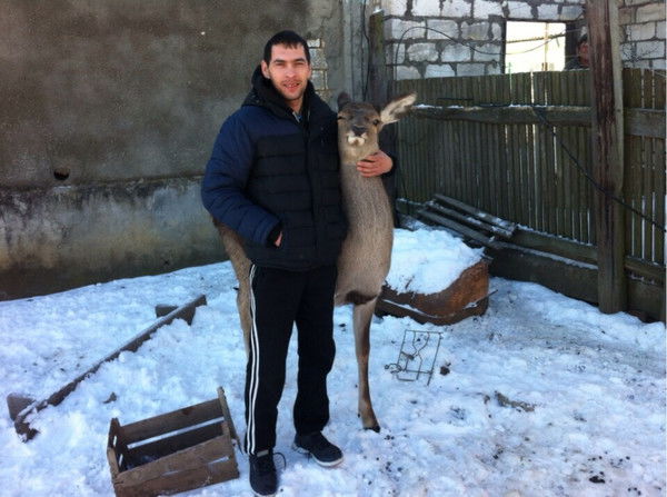 Дмитрий Кожевников