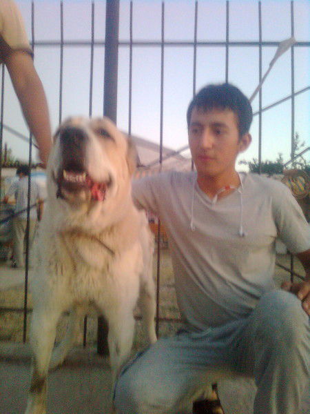 Бехруз Фозилов