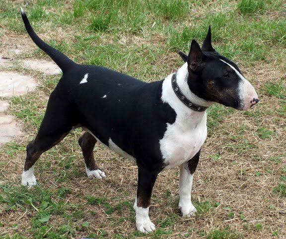 Катерина Кирпенко