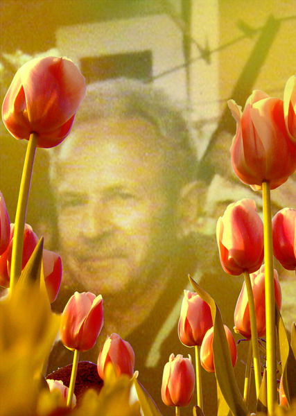 Алексей Сильнов