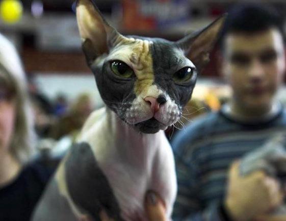 Глафира Неумная