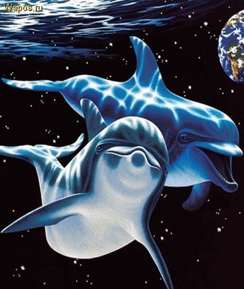 Халида Енсебаева