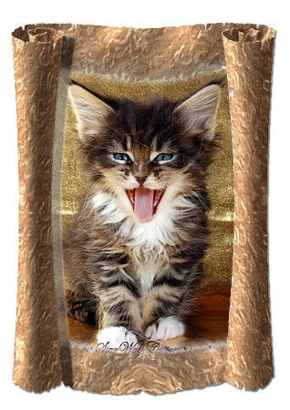 Наталья Питомник Starway