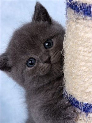 Ольга Завьялова