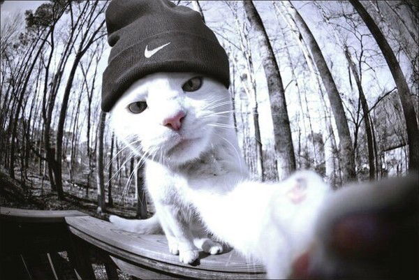 Александр Царь