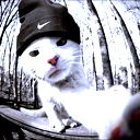 Александр Царь